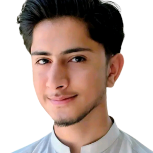 Mubashir Hayat-Freelancer in D G Khan,Pakistan