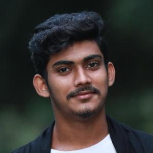 Chandbasha Shaik-Freelancer in Hyderabad,India