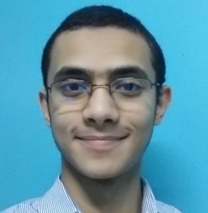 Hossam Ali-Freelancer in Cairo,Egypt