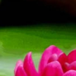 Jenica Nyarai Muchemwa-Freelancer in Harare,Zimbabwe