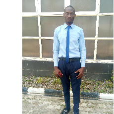 Aviomoh Innocent-Freelancer in Abuja,Nigeria
