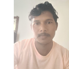 Vishal Diwakar Shende-Freelancer in Mul,India
