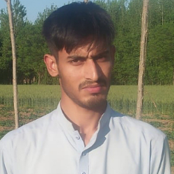 Hammad Ahmad-Freelancer in Dera Ismail Khan,Pakistan