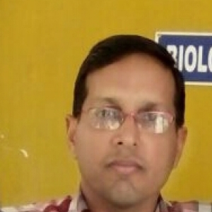 Rajiv Kumar-Freelancer in Delhi,India