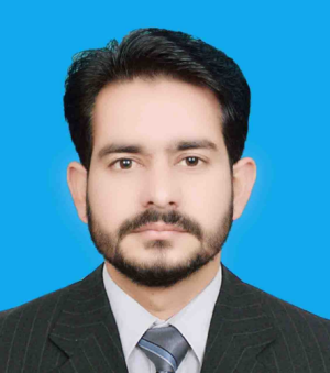 Muhammad Meesam Raza-Freelancer in Dera Ismail Khan,Pakistan
