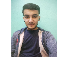 Soban Ali-Freelancer in Delhi,India