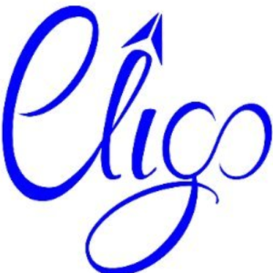 Eligo Creative Services-Freelancer in Shimla,India
