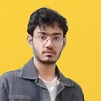 PRATHAM BHANDORIA-Freelancer in Durg Division,India