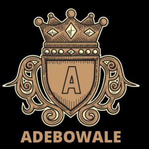 Adebowale Adebayo-Freelancer in Lagos,Nigeria