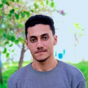 Mohamed Aziz Louifi-Freelancer in Tunis,Tunisia