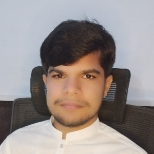 Hussain-Freelancer in Pakpattan,Pakistan