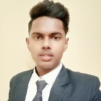 Souravkumar Pandit-Freelancer in Ludhiana,India