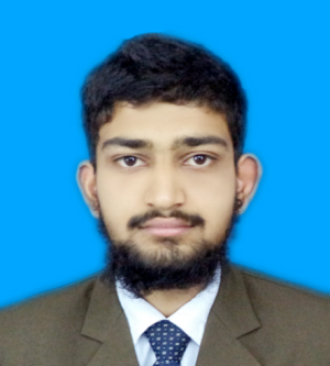 Syednaqeeb Ulhassan-Freelancer in Rawalpindi,Pakistan