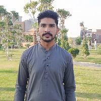 Ali Hamza-Freelancer in Nankana Sahib,Pakistan