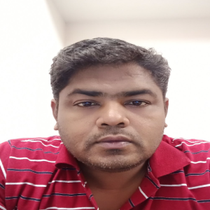 Sathis Baalan-Freelancer in Chennai,India