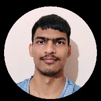 Ayush Chauhan-Freelancer in New Delhi,India