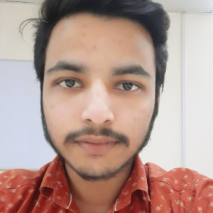 Arif Hussain-Freelancer in Delhi,India