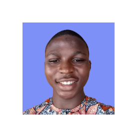 Owolabi Hameed-Freelancer in Lagos,Nigeria