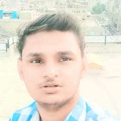 Talha Hassan-Freelancer in Faisalabad,Pakistan