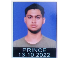 Prince Solanki-Freelancer in Palwal,India