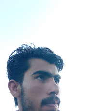 Usama Bashir-Freelancer in Multan,Pakistan