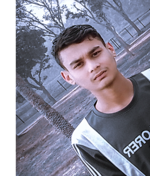 Tanvir Ahmmad-Freelancer in Bogura,Bangladesh