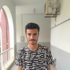 Muhammad Waris-Freelancer in Multan,Pakistan