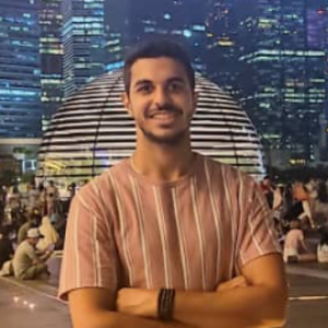 Ahmed Hussein-Freelancer in Cyberjaya,Malaysia
