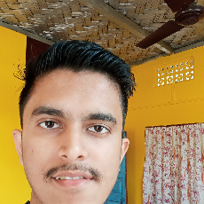 Priyanshu Parashar-Freelancer in Dergaon,India