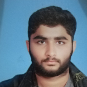 rafay butt-Freelancer in Lahore,Pakistan