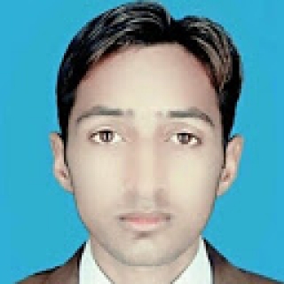 M Gulzar-Freelancer in Multan,Pakistan