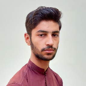 Mohsan Ali-Freelancer in usmanwala kasur,Pakistan