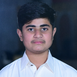 Muhammad Zaid-Freelancer in Lahore,Pakistan