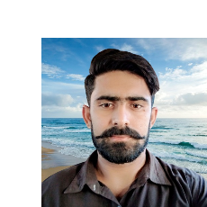 Muhammad Irfan-Freelancer in Multan,Pakistan