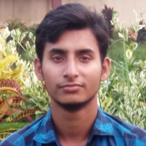Sobuj Islam-Freelancer in kushtia,Bangladesh