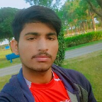 Web Developer-Freelancer in Hyderabad,Pakistan