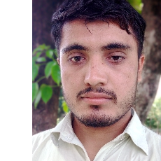 Abdul Shakoor-Freelancer in Multan,Pakistan