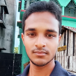 Jamal Sk-Freelancer in SAGARDIGHI,India
