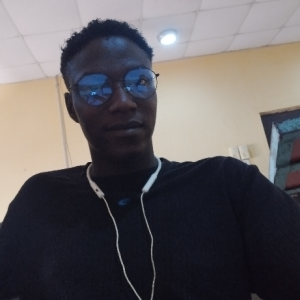 Wikihow Genga-Freelancer in Ado ekiti,Nigeria