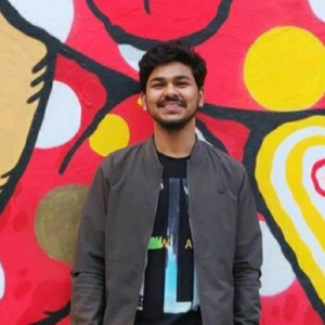 Salil Chaudhary-Freelancer in Delhi,India