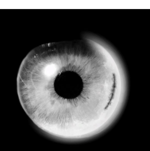 Bhavika-Freelancer in Faridabad,India