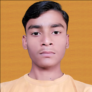 Madhusudan Kumar-Freelancer in Sitamarhi,India