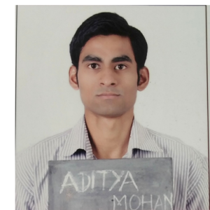 Aditya Mohan-Freelancer in Bengaluru,India