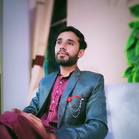 Mirza Ali Husnain-Freelancer in Pakpattan,Pakistan