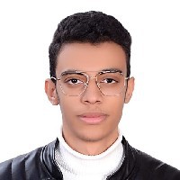 Mohamed Wael-Freelancer in مركز المنيا,Egypt