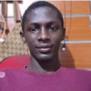 Musa Touray-Freelancer in Banjul,Gambia the