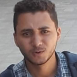 Mohamed Ahmed Abdellah-Freelancer in Cairo,Egypt