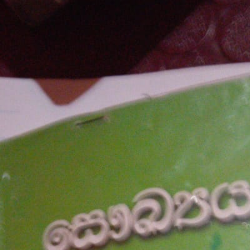 Gd Prashan-Freelancer in Colombo,Sri Lanka