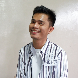Romnick Mepico-Freelancer in Tagum City,Philippines