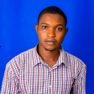 Adetoyi Isaac-Freelancer in offa,Nigeria
